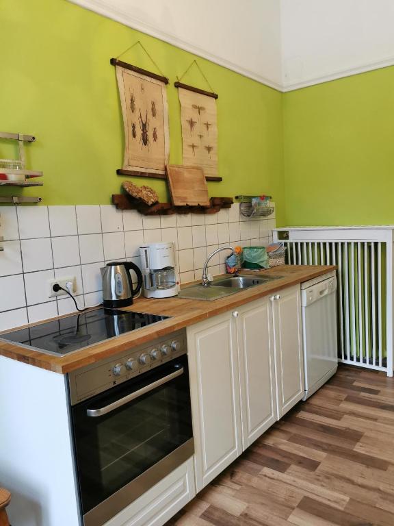 Kuchyňa alebo kuchynka v ubytovaní Villa Eisenwerk