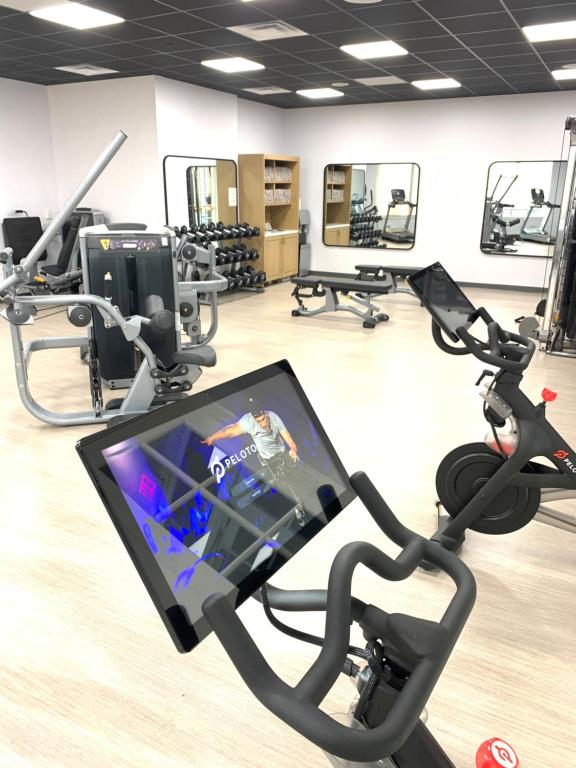 Fitness centrum a/nebo fitness zařízení v ubytování Hotel Viking
