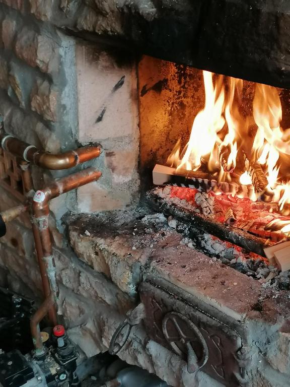 Fotografie z fotogalerie ubytování Camp Salaš Farma 47 Čenej v destinaci Čenej