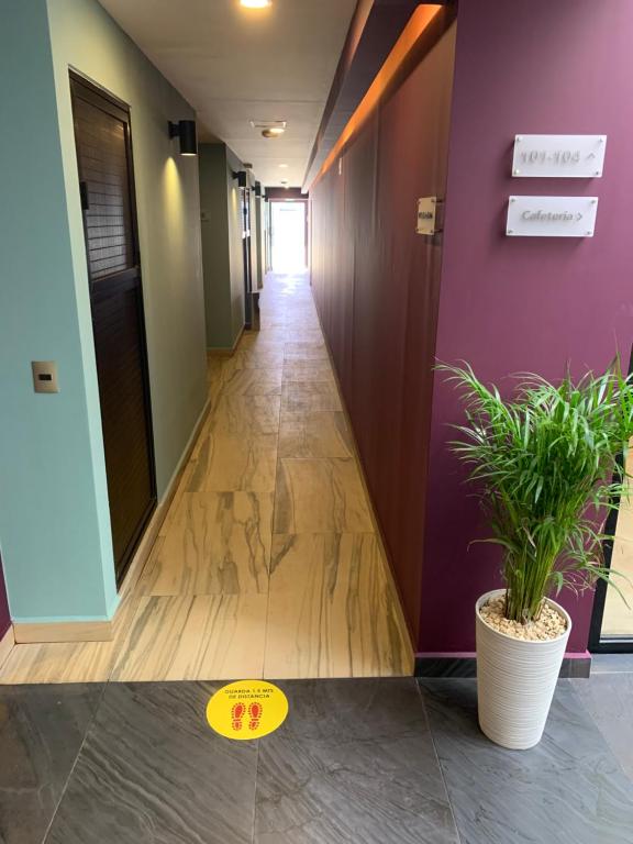 Fotografie z fotogalerie ubytování Hotel Luma by Kavia v destinaci Cancún