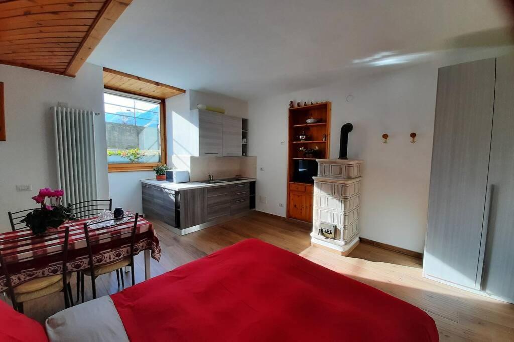a large room with a kitchen with a table and a bed at Appartamento vicino al centro da Lori in Bormio