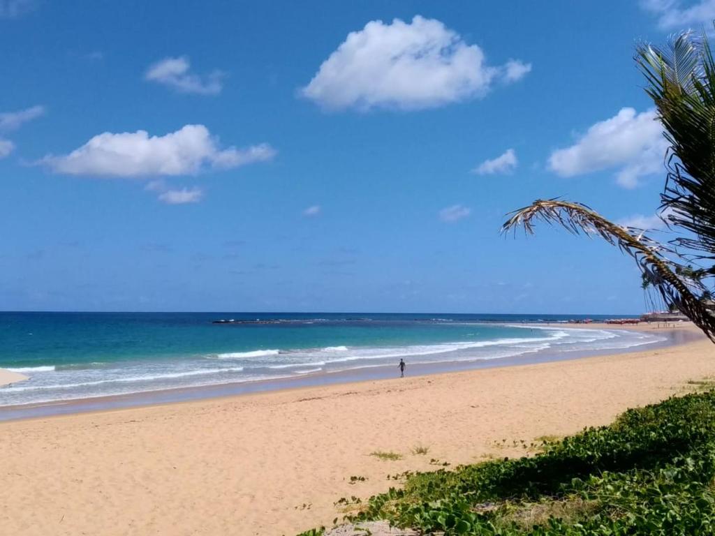  Beach Class Eco Life Muro Alto 9003