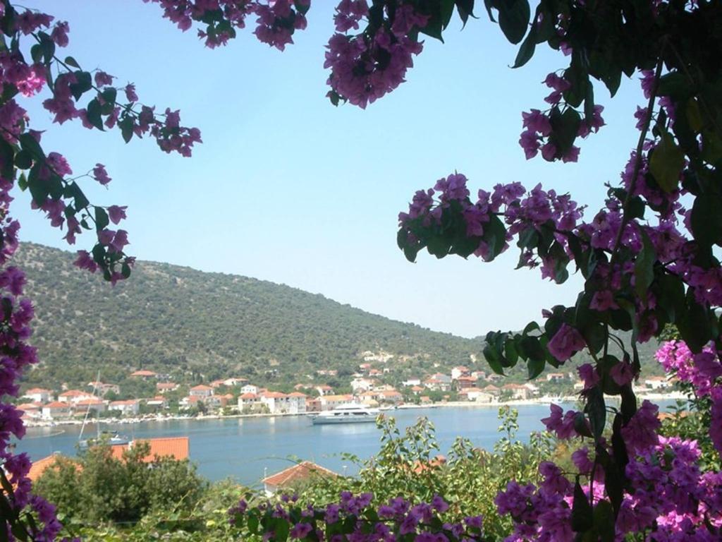 Príroda v okolí apartmánu