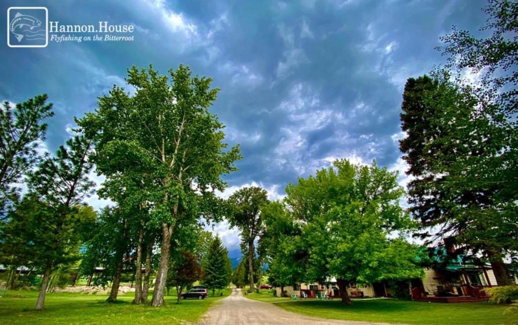 un chemin de terre avec des arbres et un ciel nuageux dans l'établissement Hannon House, à Darby