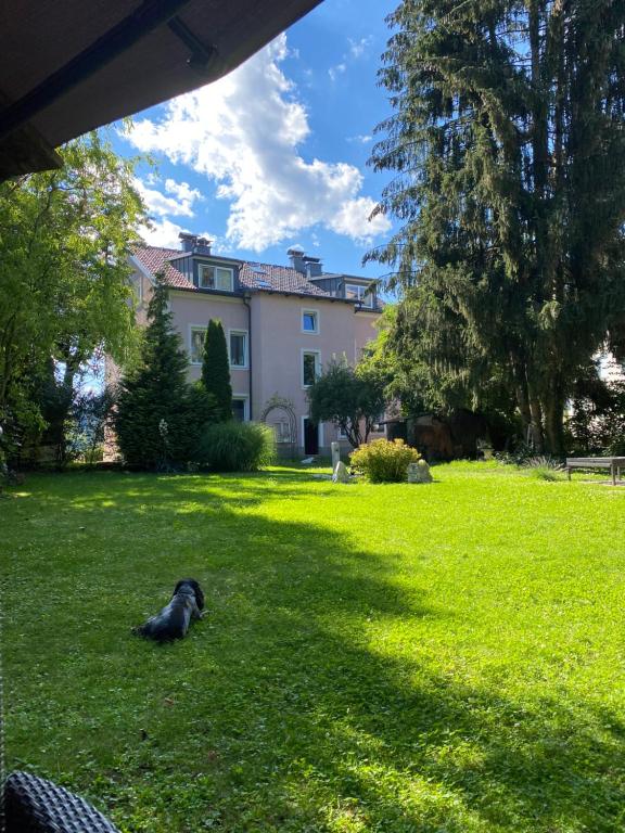 a dog laying in the grass in front of a house at Villa PetraBUNT in Villach