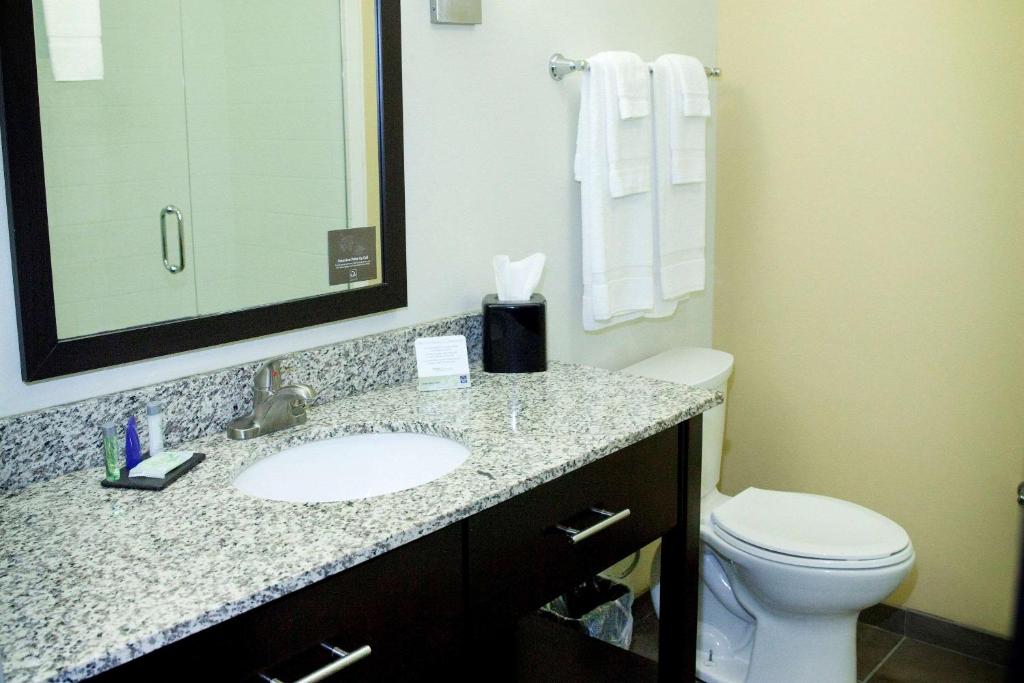 Sleep Inn & Suites Moundsville - Wheeling - King Suite - Toegankelijk/niet Roken