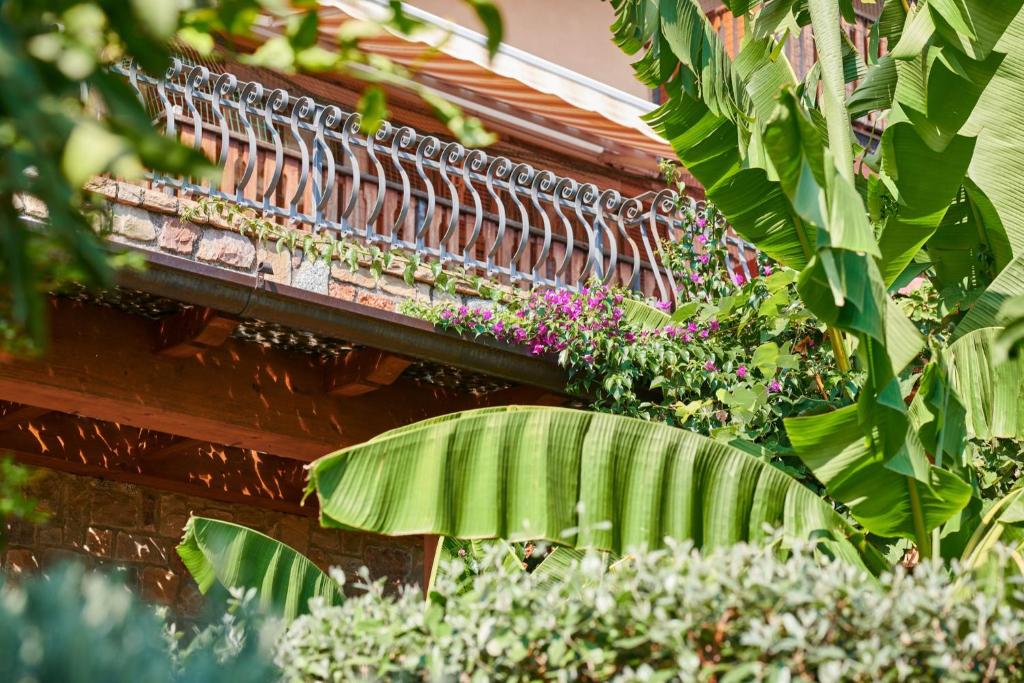 Zahrada ubytování Hotel Al Rio Se
