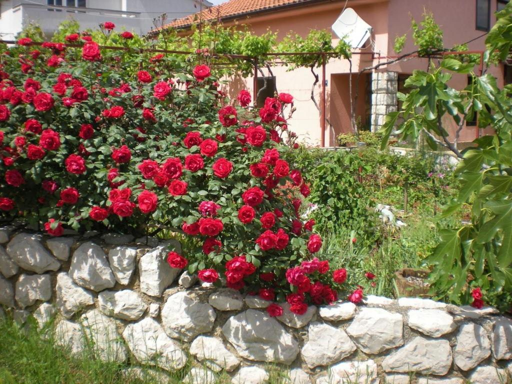 a bunch of red flowers on top of a stone wall at Apartmani Mediteran in Vrh