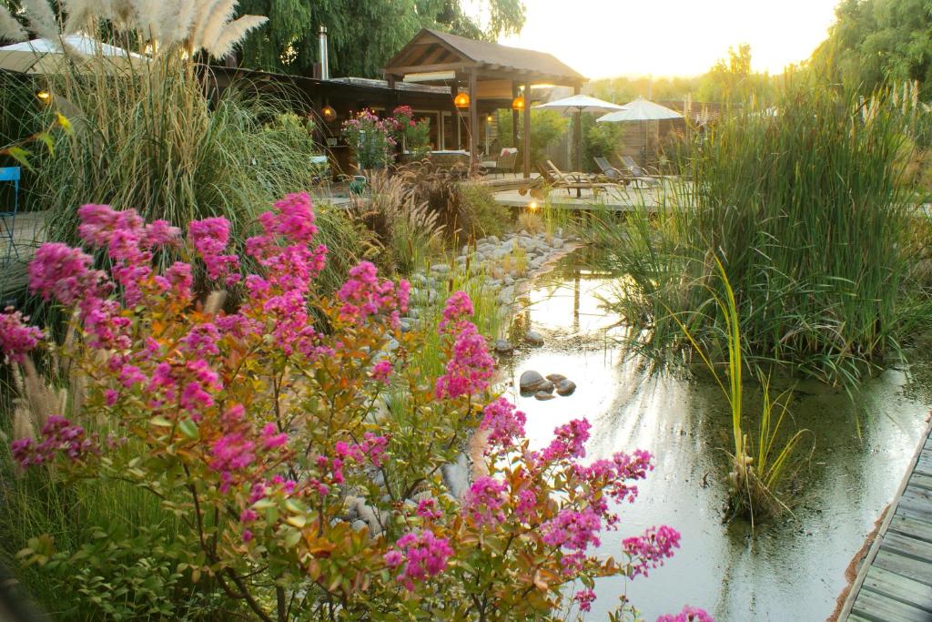 um jardim com flores cor-de-rosa e um lago em Barrica Lodge em Santa Cruz