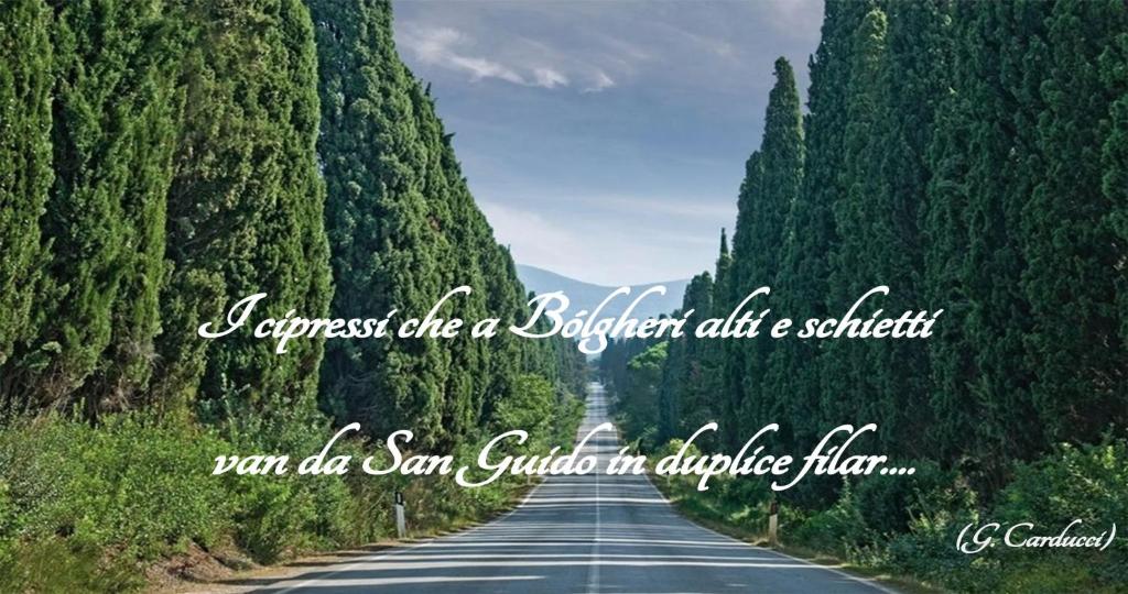 una strada con alberi ai lati di essa di Casa Vacanza Francesca #10 a Sassetta