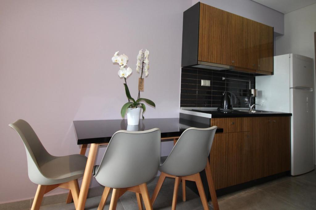 Kuchyň nebo kuchyňský kout v ubytování Deluxe Apartments Andreas