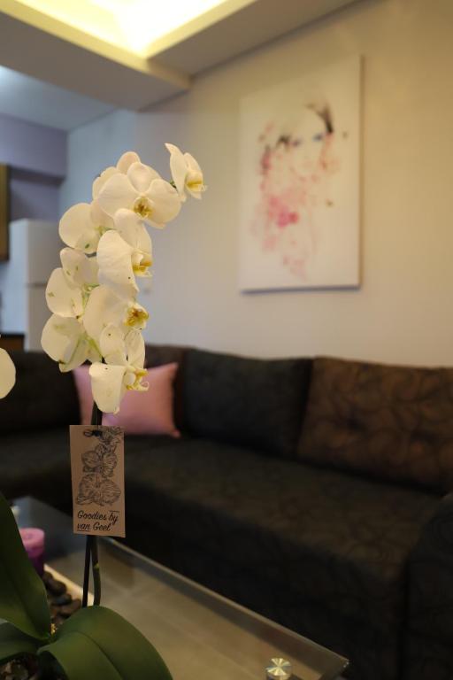 Posezení v ubytování Deluxe Apartments Andreas