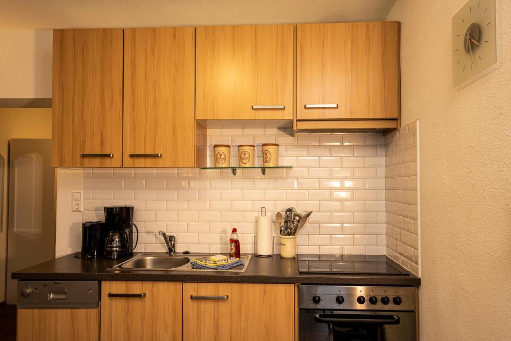 Kuchyňa alebo kuchynka v ubytovaní Alex Kaprun Apartment
