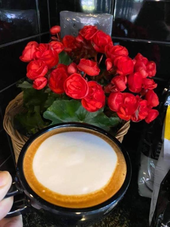 Aonang Dugong-SHA Extra Plus - Resim 12