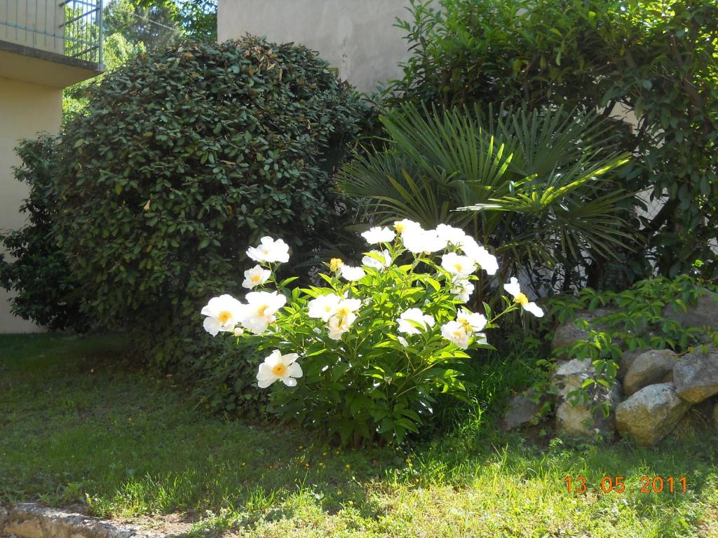 Vonkajšia záhrada v ubytovaní Villa D'Azeglio
