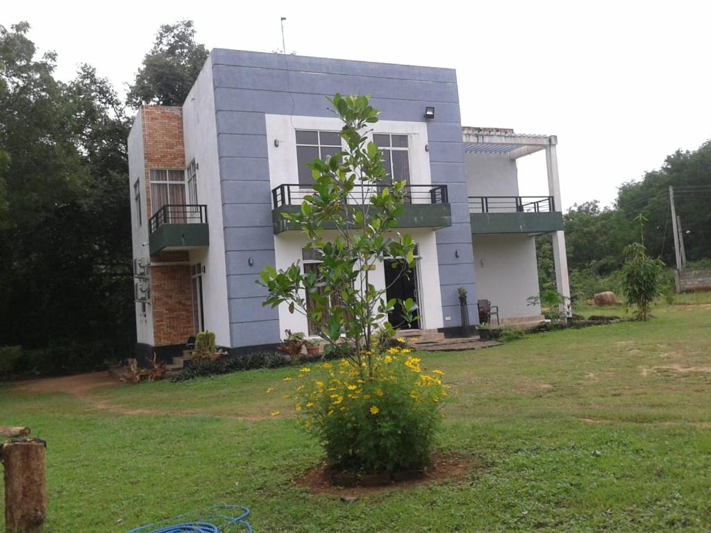 Zahrada ubytování Peacock Resort