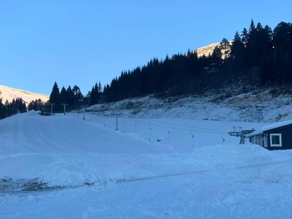 Hytte i Stryn med elbil lader зимой