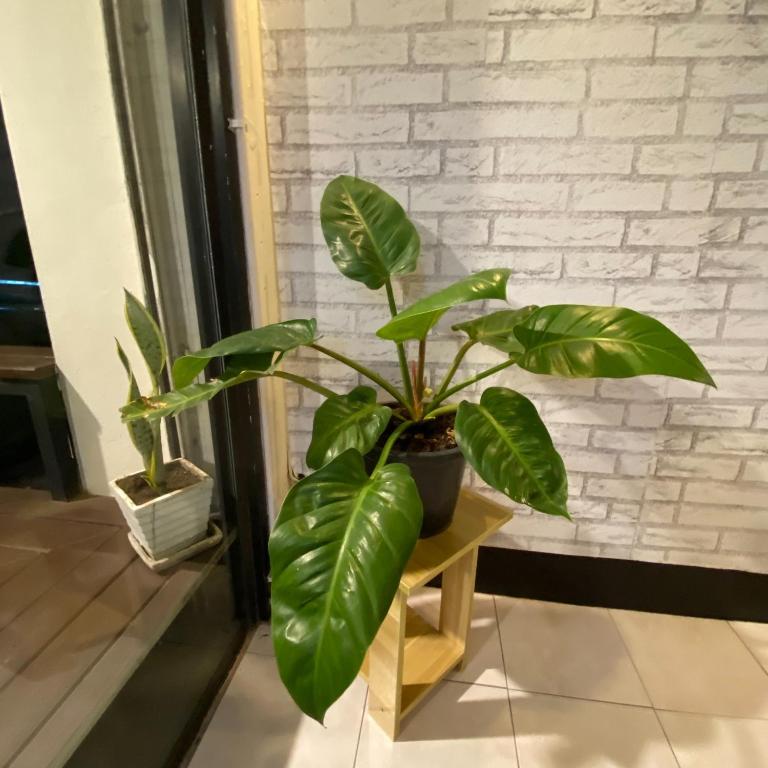 FrenTé Chiang Mai - Resim 32