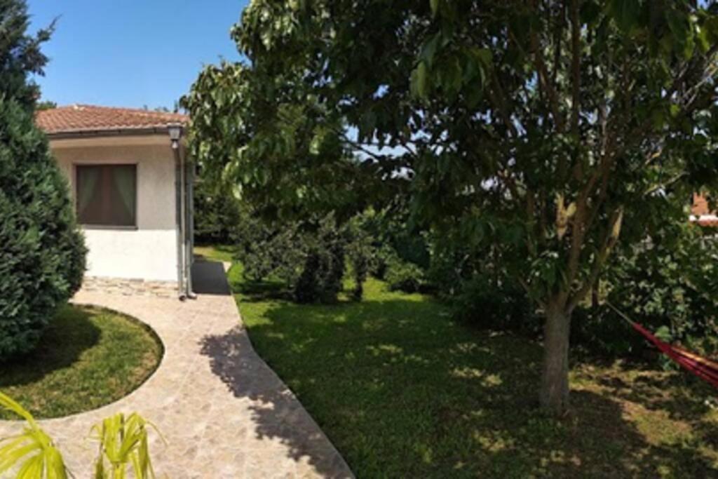 Zahrada ubytování Guesthouse Oasis-Shabla