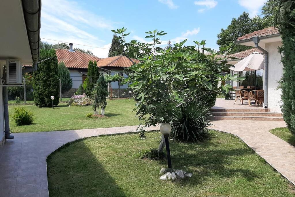 Zahrada ubytování Guesthouse Oasis-Shabla