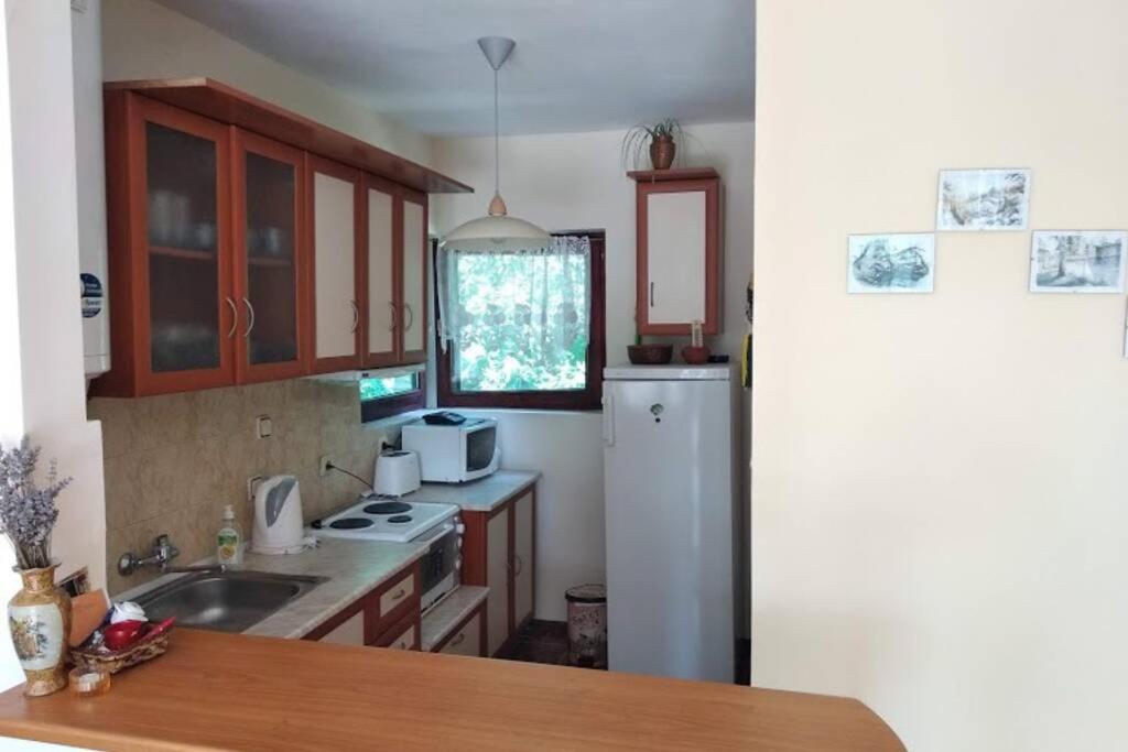 Kuchyň nebo kuchyňský kout v ubytování Guesthouse Oasis-Shabla