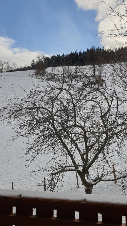 Hubertushof v zimě