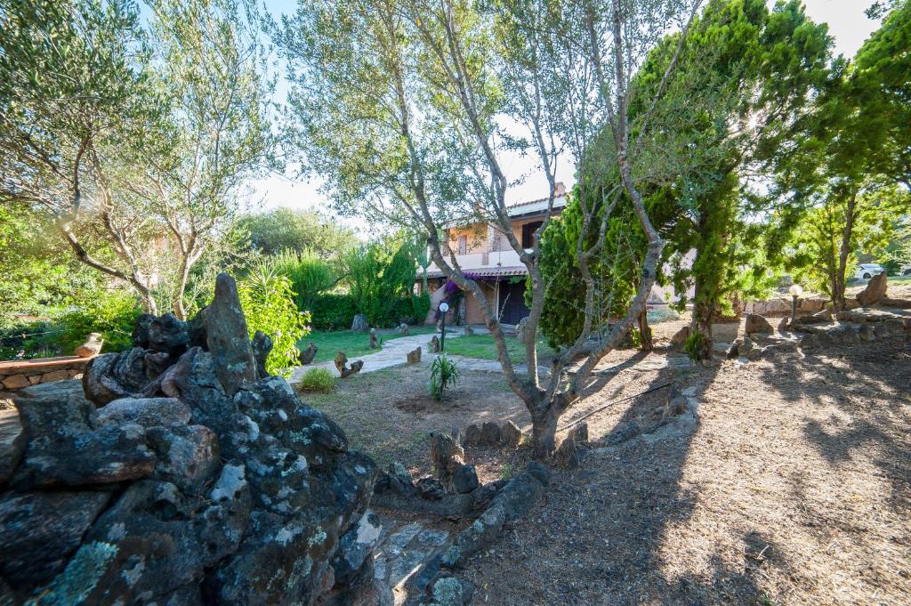 A garden outside villa lilly
