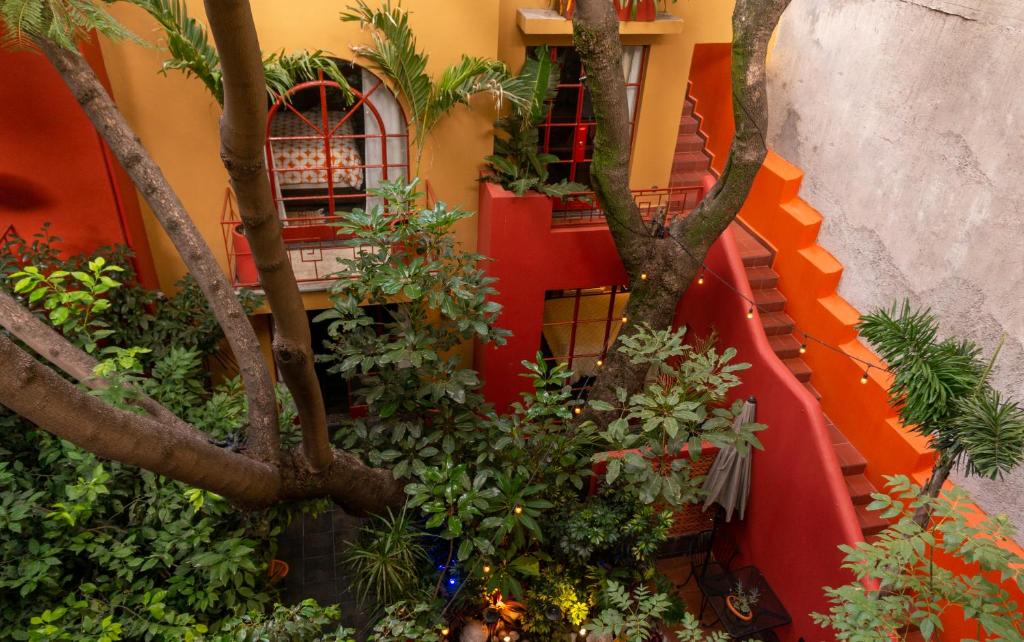 un edificio con un montón de plantas y árboles en The Red Tree House, en Ciudad de México