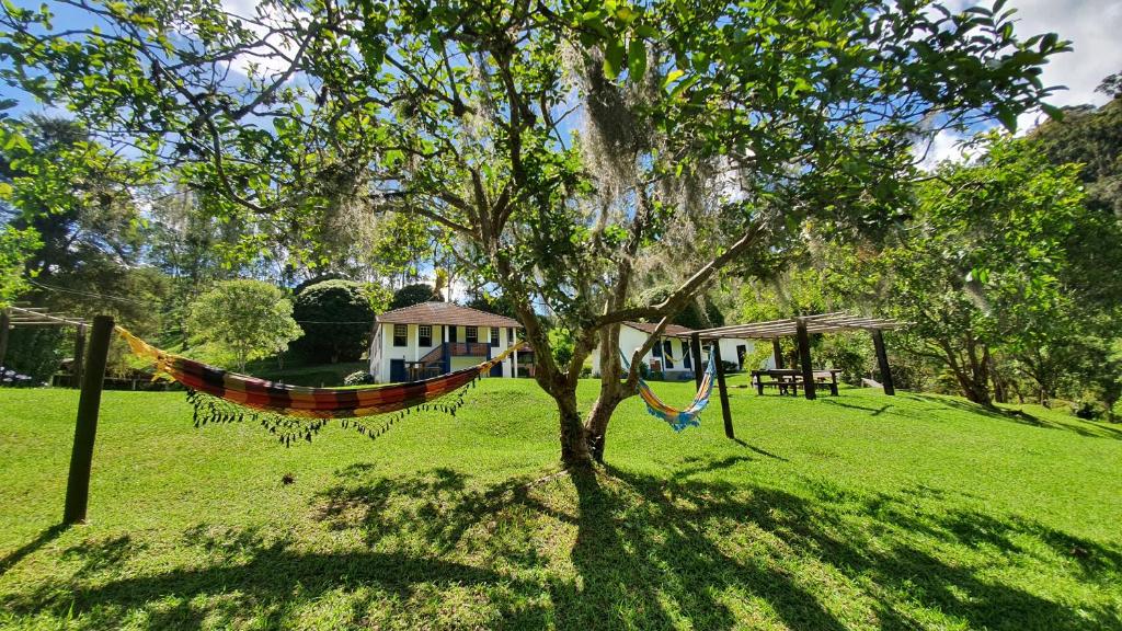 uma rede pendurada numa árvore num parque em Hotel Fazenda Pedra Grande em Visconde de Mauá