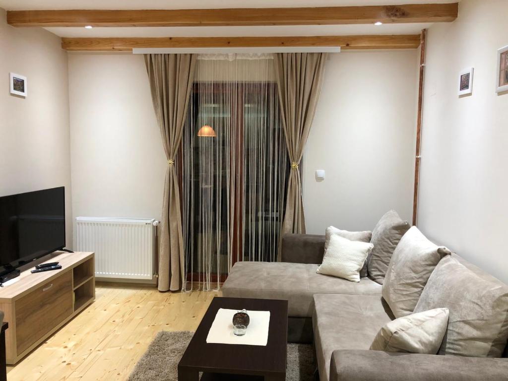 a living room with a couch and a tv at Apartmani Sredojevic in Kaludjerske Bare