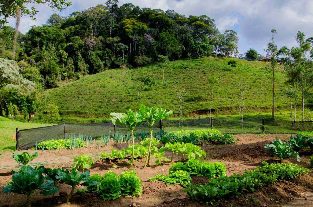  Hotel Fazenda Pedra Grande