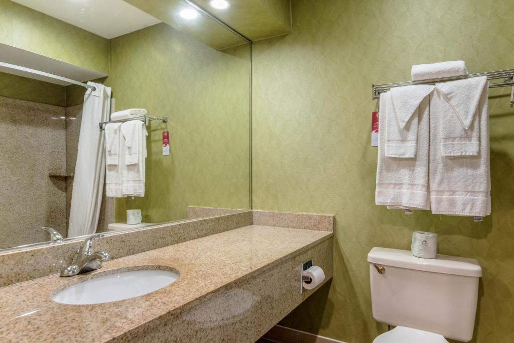 Econo Lodge Pocomoke City Hwy 13 - King Room - Accessible/Non-Smoking