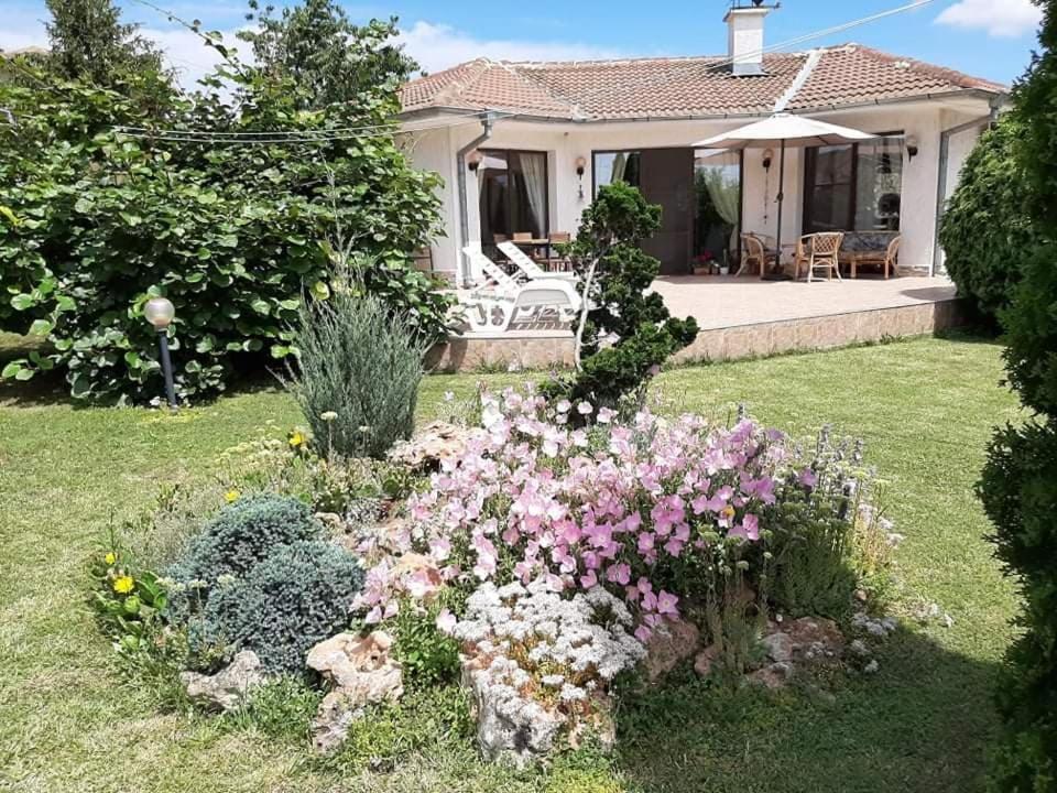 Zahrada ubytování Guesthouse Oasis-Shabla