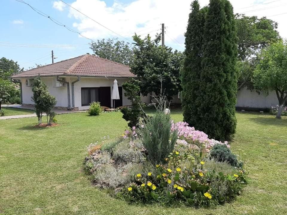 Zahrada ubytování Guesthouse Oasis-Shabla