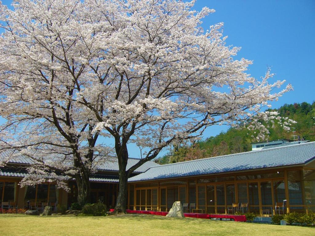 Zahrada ubytování Kyoto Utano Youth Hostel