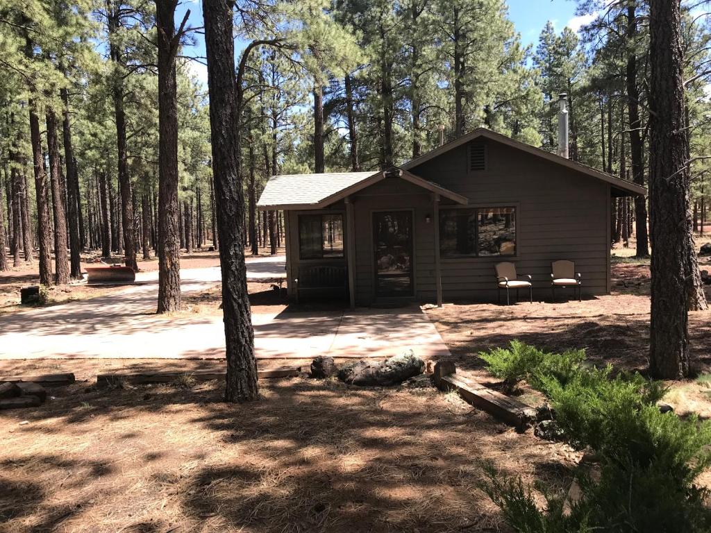 eine kleine Hütte im Wald mit Bäumen in der Unterkunft Grand Canyon Cottage at Historic Wrigley Ranch with Horseback Riding & Shooting in Parks