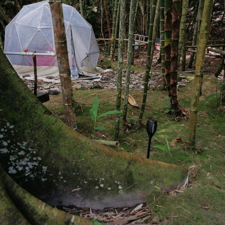 Las cascadas de Andromeda Glamping