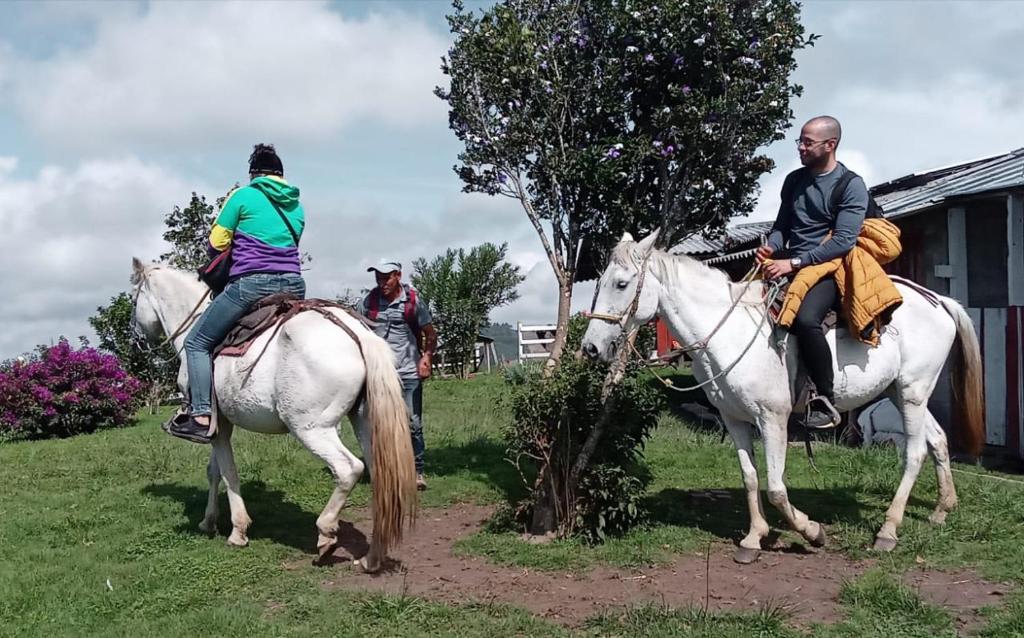 Zvířata v luxury tent nebo okolí