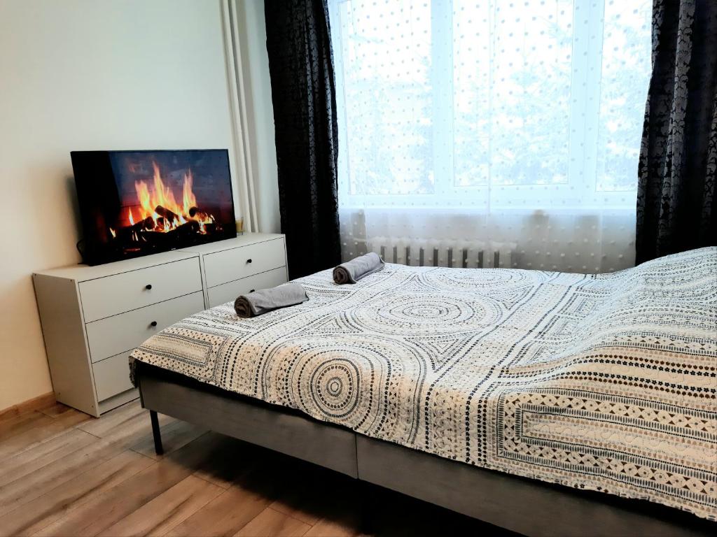 1 dormitorio con 1 cama con chimenea y TV en M&M Apartment VI Self CHECK-IN, en Panevėžys