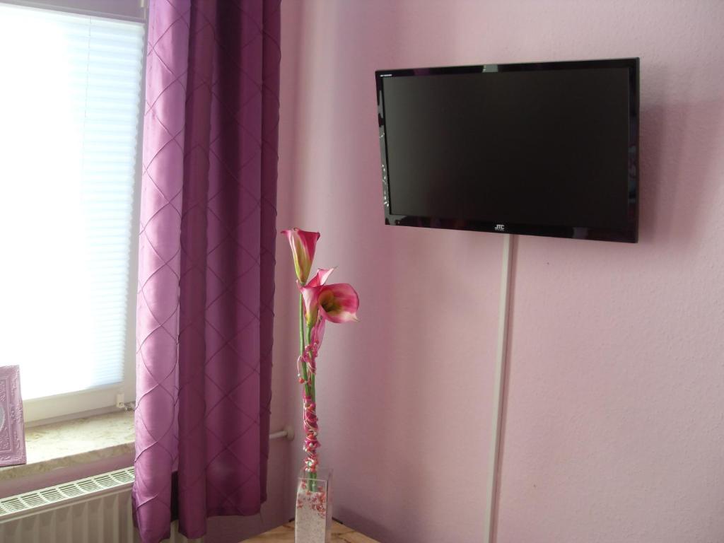 TV a/nebo společenská místnost v ubytování Hotel Grüner Kranz