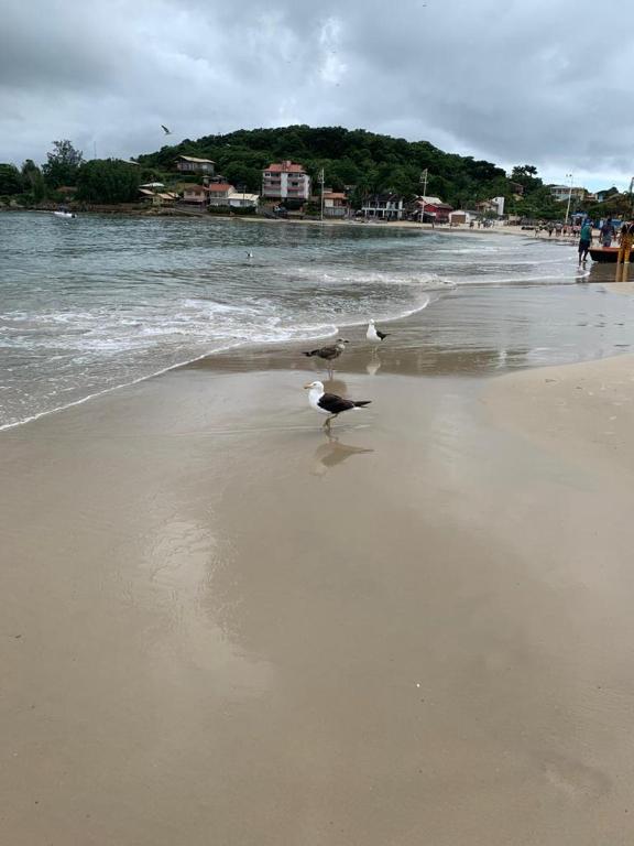  MORADA DA PRETINHA