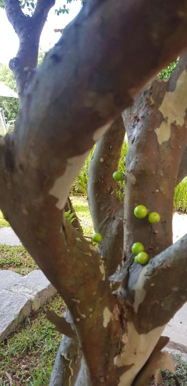  Pousada Guaruja