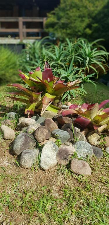 Um jardim em Pousada Guaruja