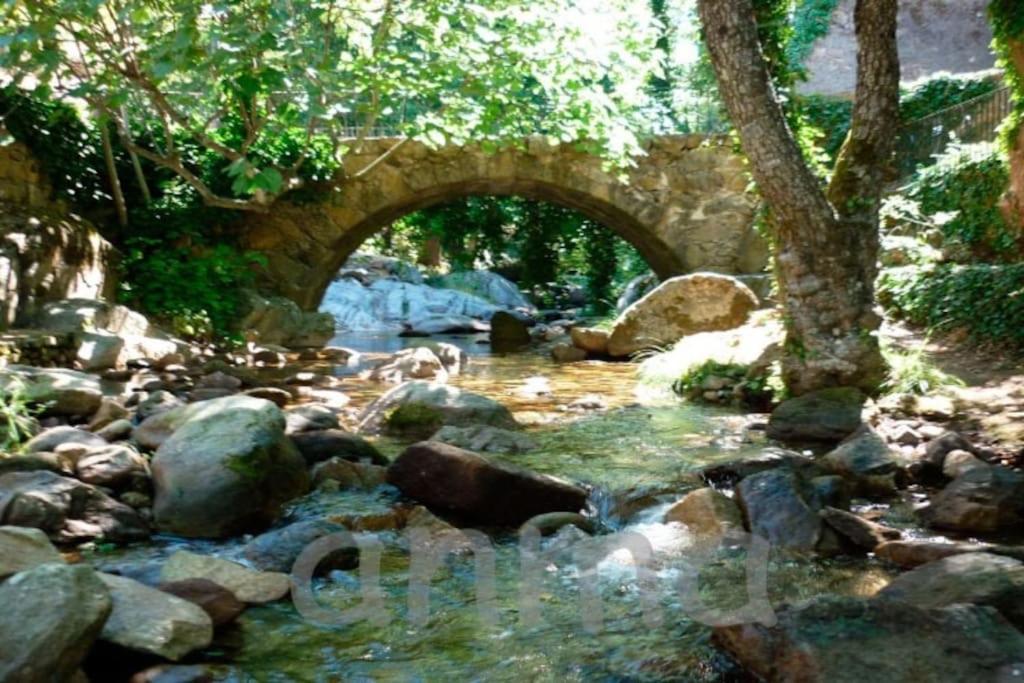 Príroda v okolí apartmánu