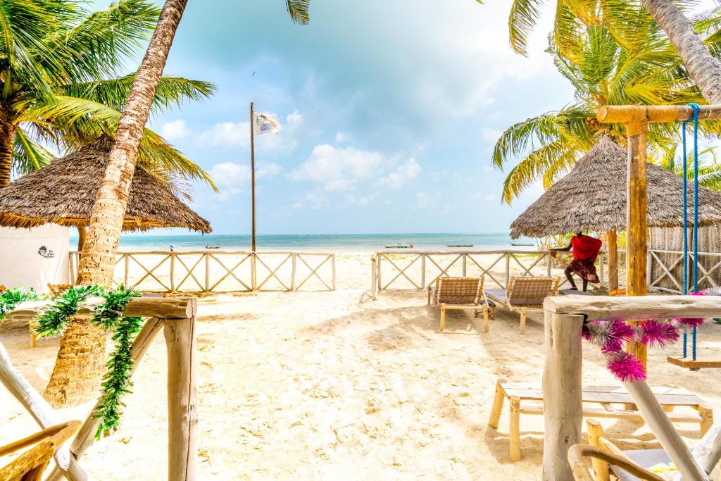 a beach with chairs and palm trees and the ocean at The African Paradise Beach Hotel in Bwejuu