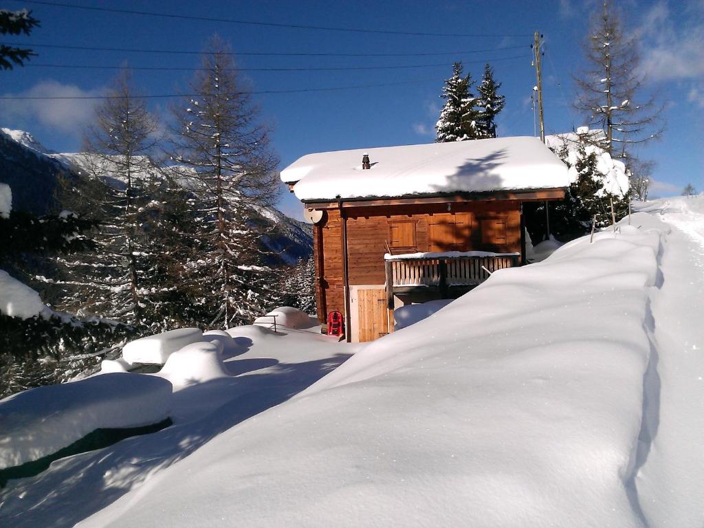 uma pequena cabana de madeira coberta de neve com árvores em Chalet Edelweiss em Hérémence