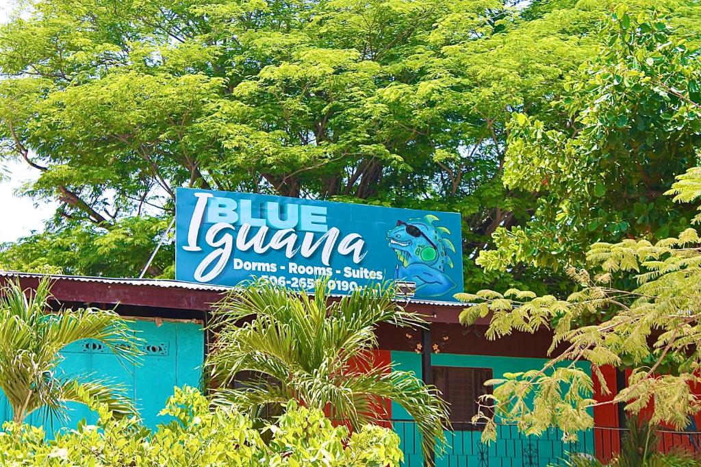 Zahrada ubytování Blue Iguana