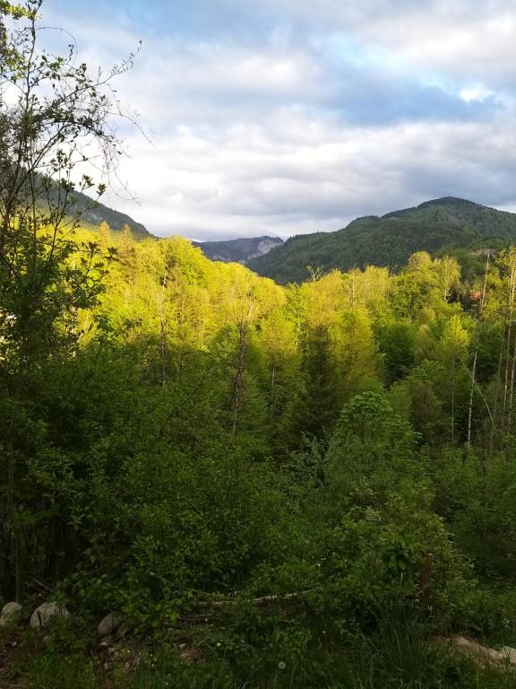 CHILL&SLEEP Bad Ischl - 1