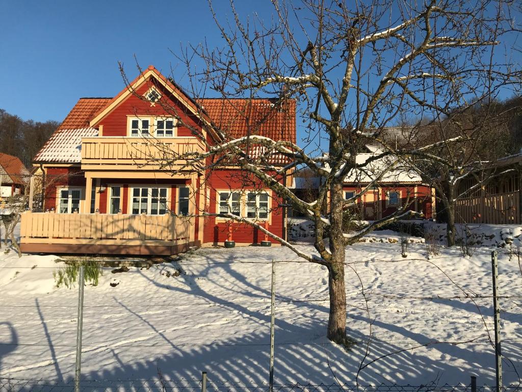 Holzferienhaus v zimě
