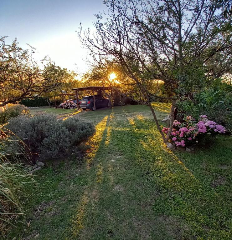 La Alquimia Casas de Campo